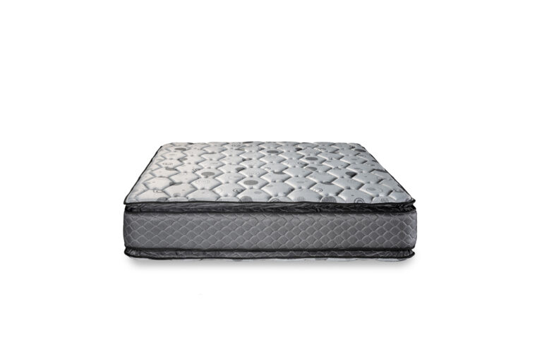 REGNO PT 160X200 COLCHON (1)